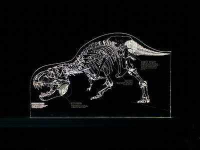 Edge-lit acrylaat: maak zelf een verlicht paneel met je lasersnijder